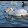 20050310_IMG_415